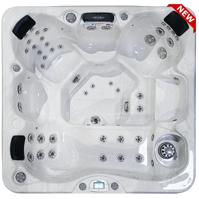 Avalon-X EC-849LX hot tubs for sale in North Conway